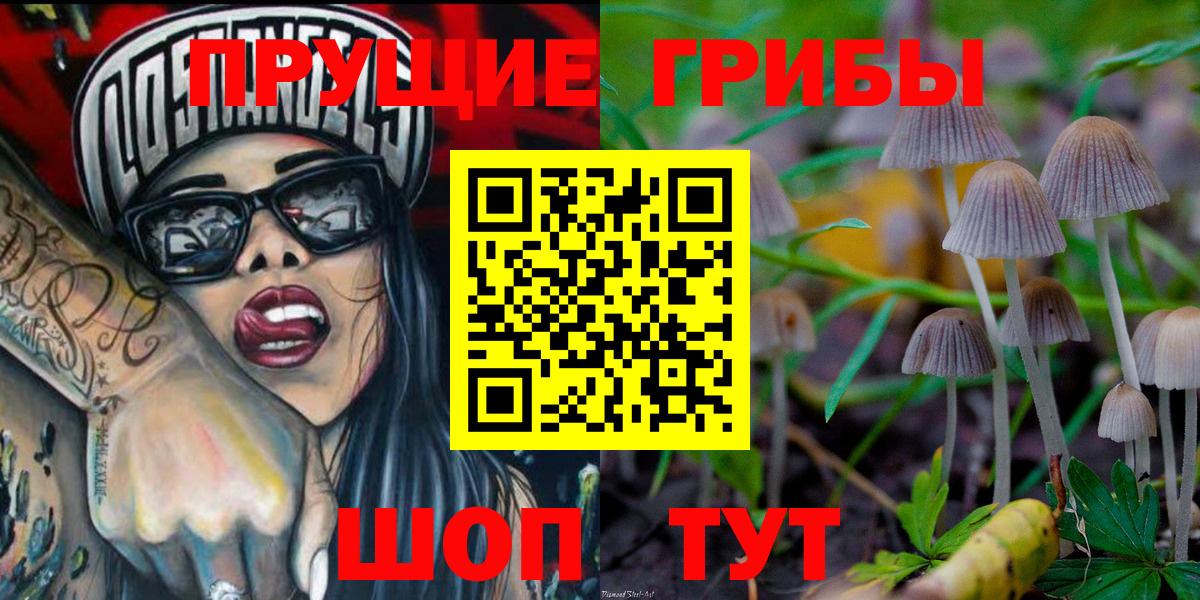 Советск  Галлюциногенные грибы MAGIC MUSHROOMS  Псилоцибиновые грибы Cubensis  Вход с VPN 