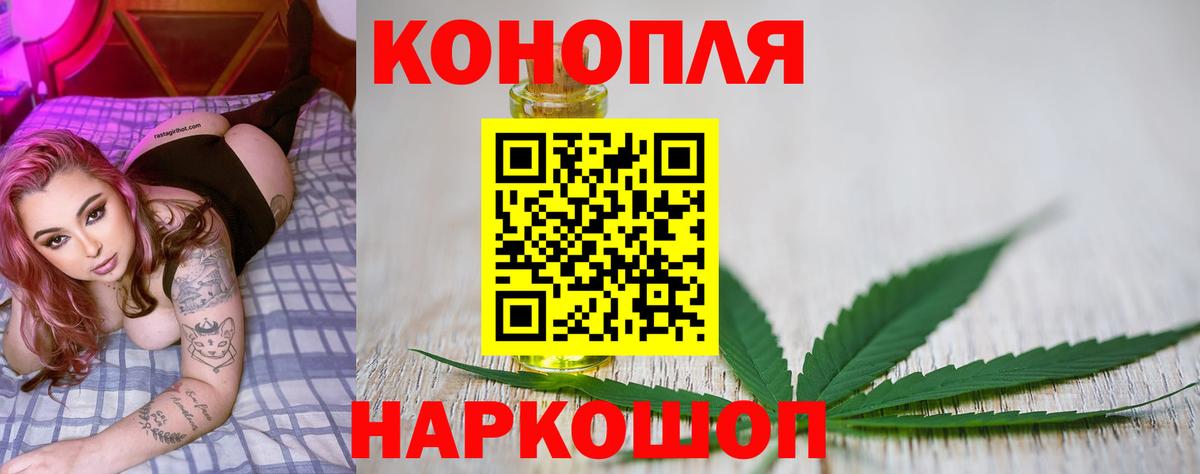 Каннабис OG Kush Советск